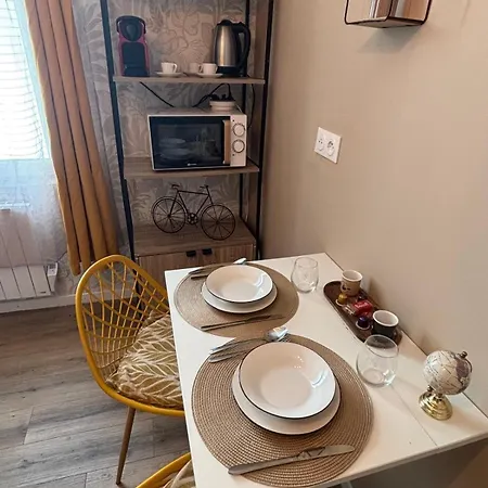 Apartment Elegant Et Chic Au Coeur De Valenciennes